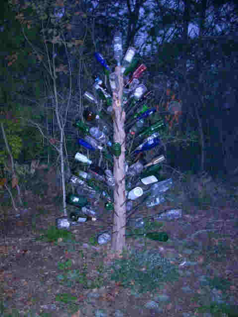 Bottle Tree