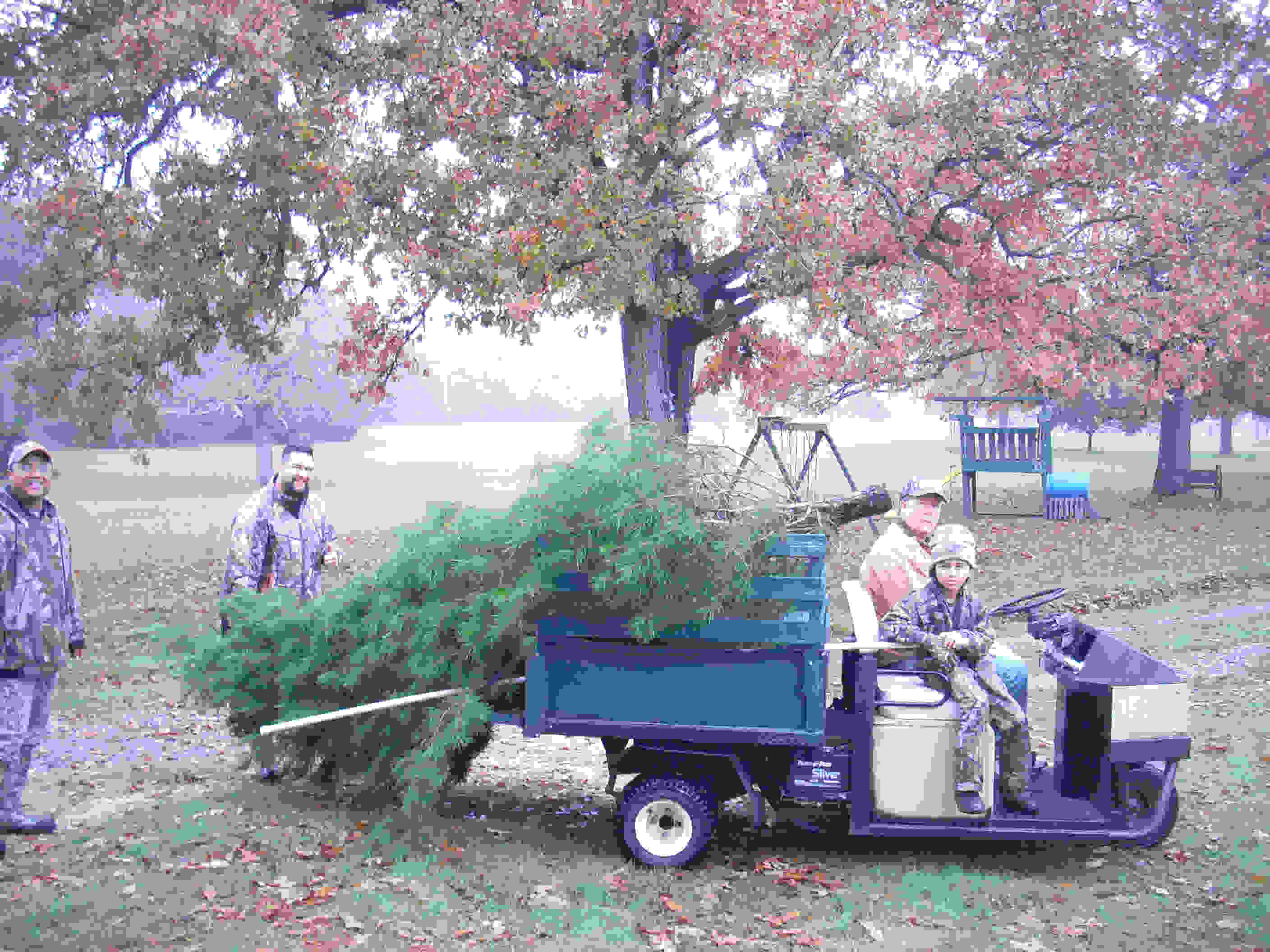 Crossed Creek Christmas Trees Pictures