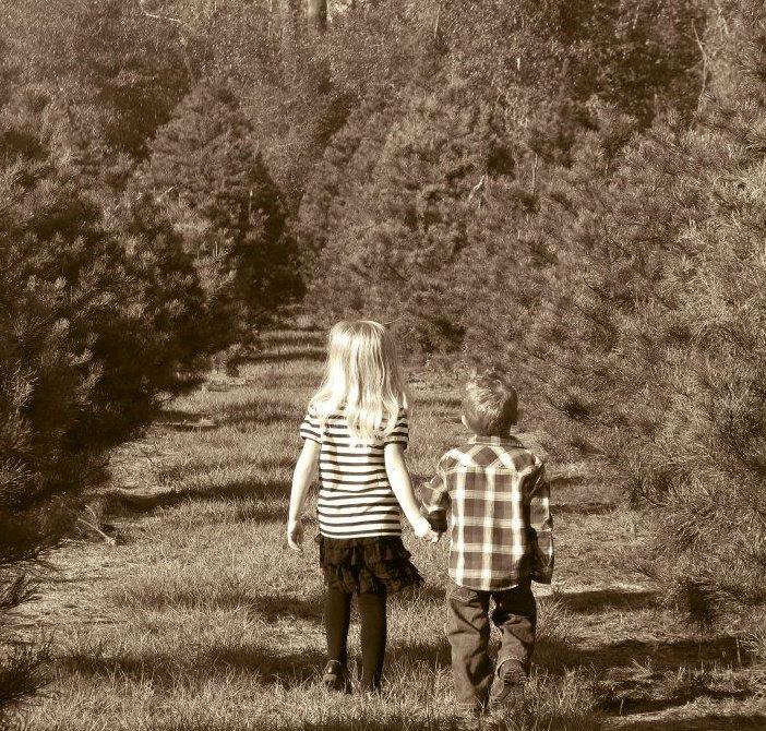 Bozeman Christmas Tree Farm