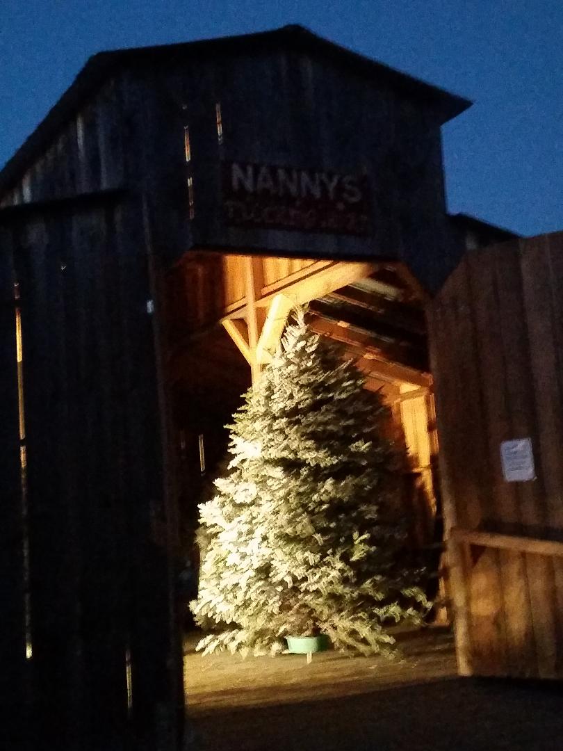 Bozeman Christmas Tree Farm Tour